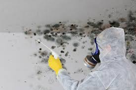 Mold Remediation for Rental Properties in Simpsonville, SC